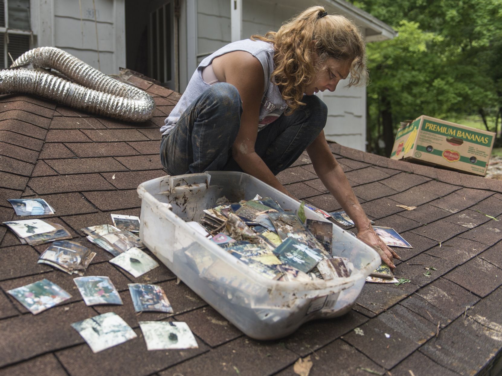 Kathy Bostic Sorting Pictures After Flood on Roof