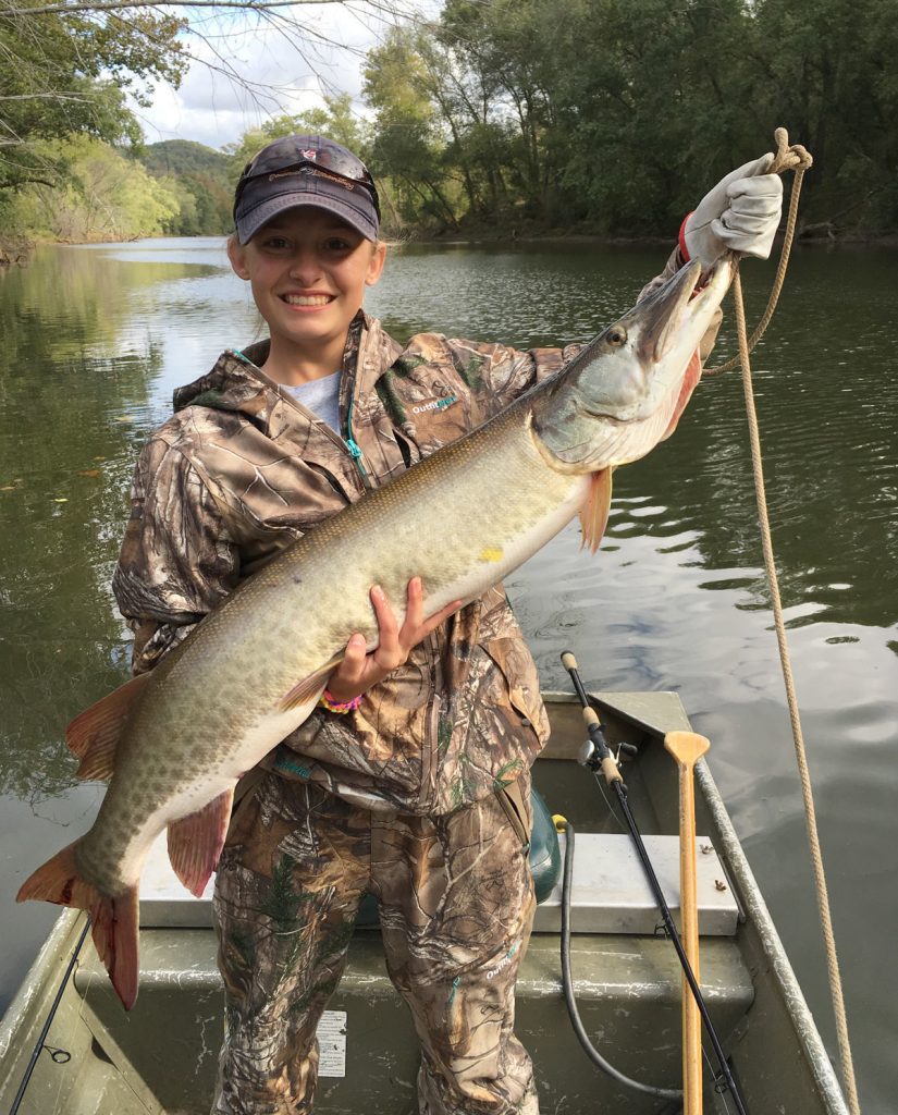 In the true spirit of starting at the top, Elkview teen Kristin Tanner's first muskie measured 44 1/2 inches and captured the West Virginia Husky Musky Club's traveling trophy for largest fish caught from the Elk in 2017. Courtesy Photo